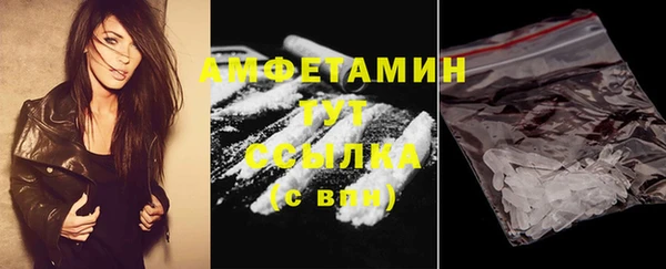 твердый Мегион