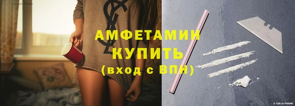 твердый Мегион