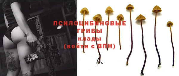 твердый Мегион