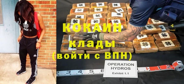 твердый Мегион