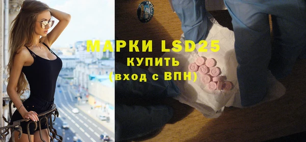 твердый Мегион