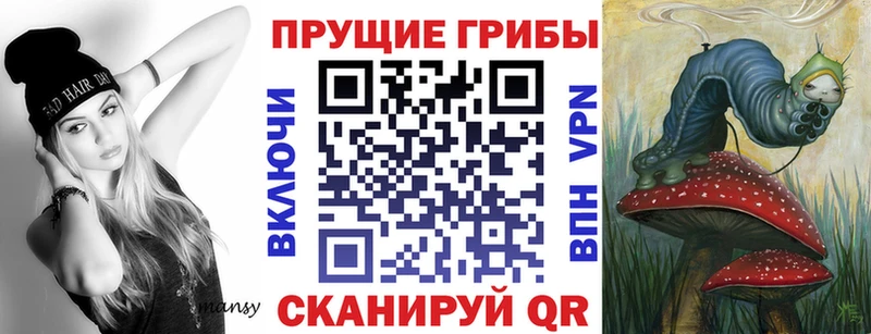 Купить  Ясный  Галлюциногенные грибы Magic Shrooms 